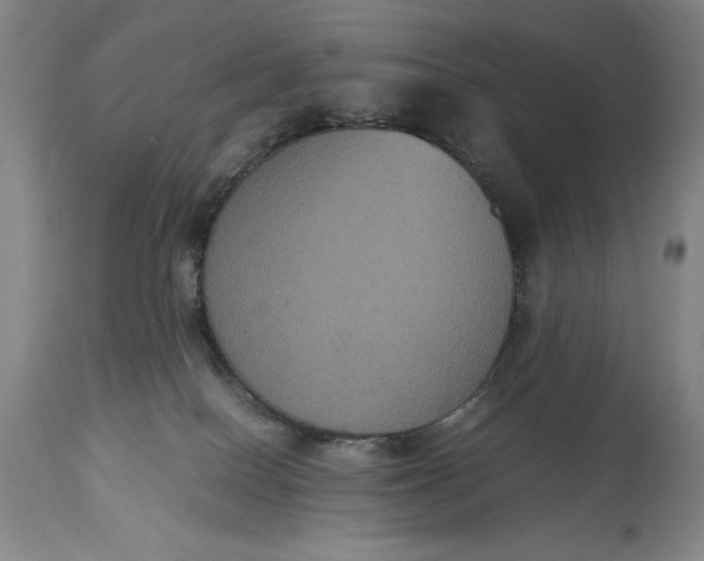 X0000114620086200911101224