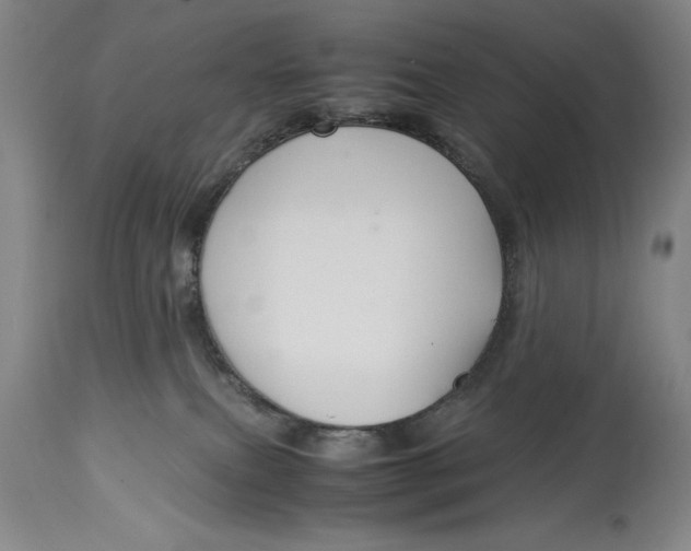 X0000114620087200911101224