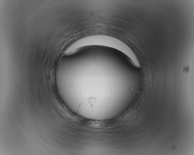 X0000114620088200911101224