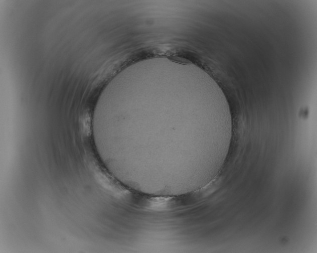 X0000114620090200911101224