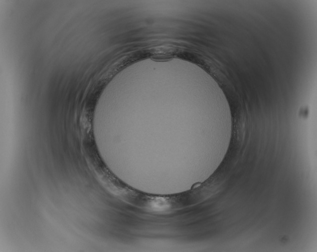 X0000114620091200911101224