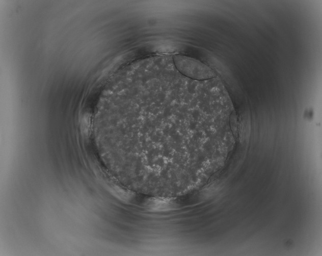 X0000114620093200911101224