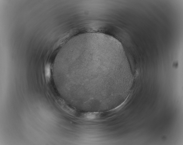 X0000114620094200911101224