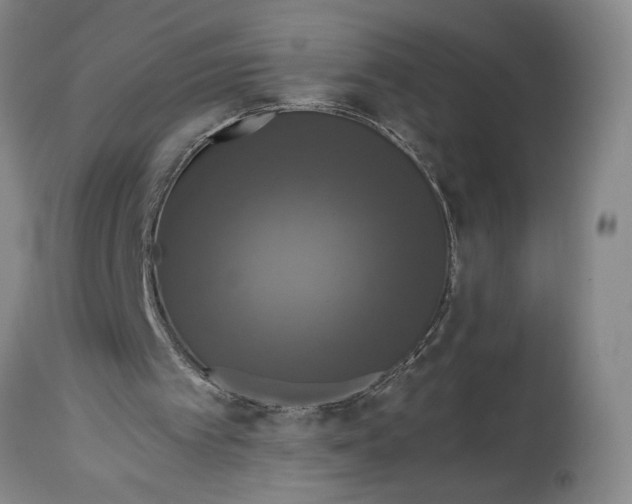 X0000114620097200911101223