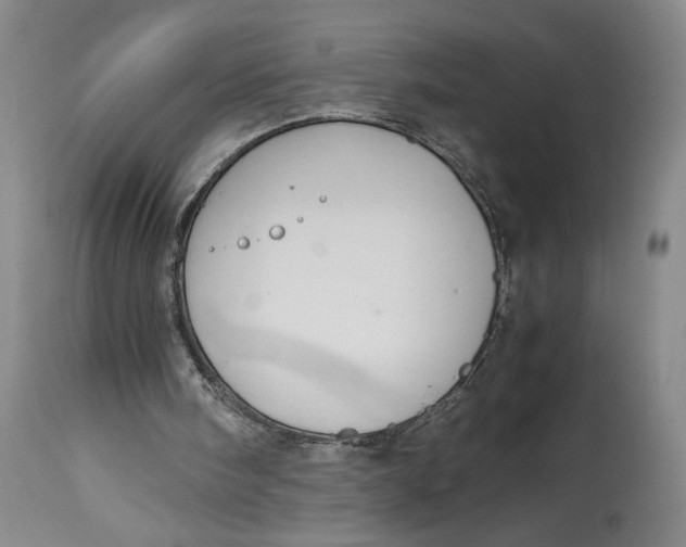 X0000114620098200911101223