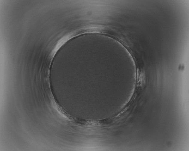 X0000114620099200911101223