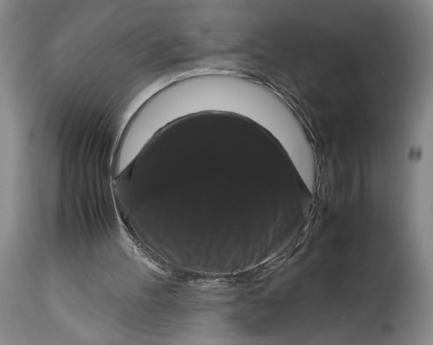 X0000114620100200911101223