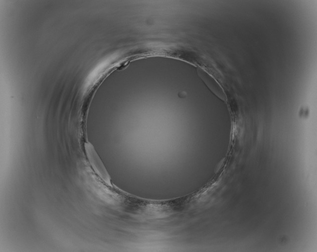 X0000114620101200911101223
