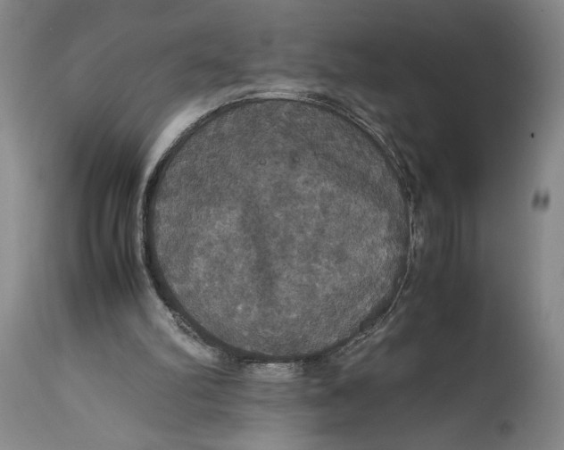 X0000114620102200911101223