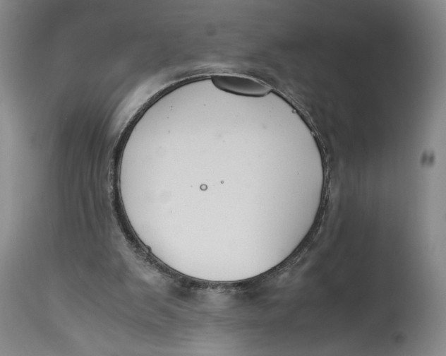 X0000114620103200911101223
