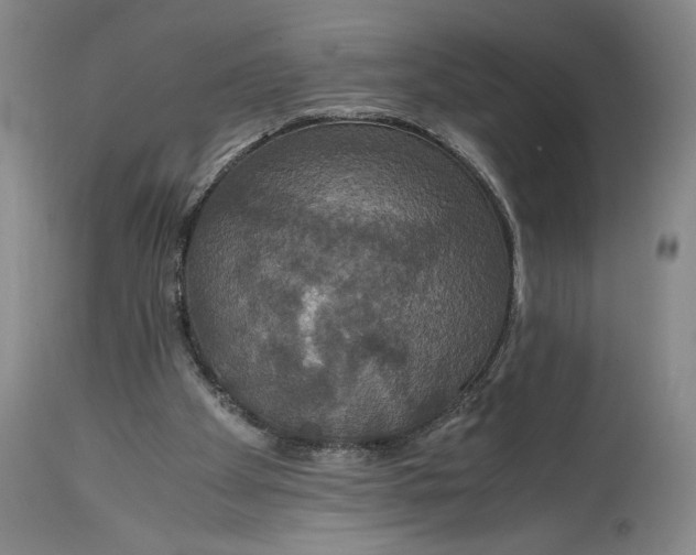 X0000114620105200911101223