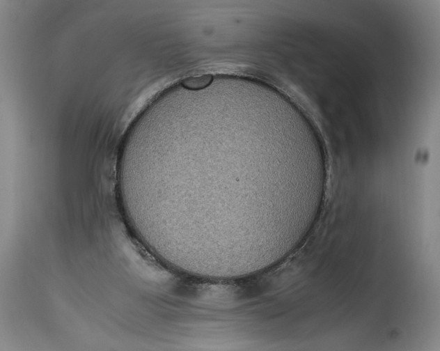 X0000114620107200911101223