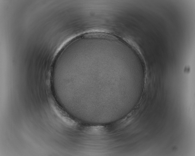 X0000114620108200911101223