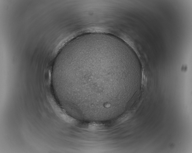 X0000114620109200911101223