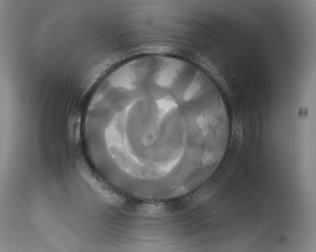 X0000114620110200911101223