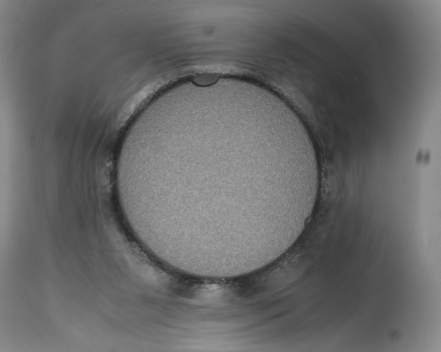 X0000114620111200911101223