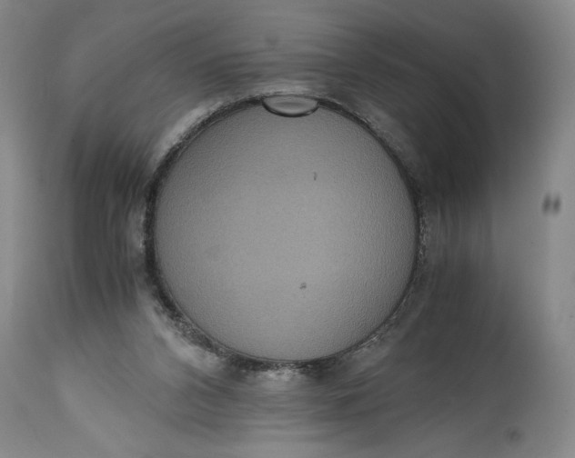X0000114620112200911101223