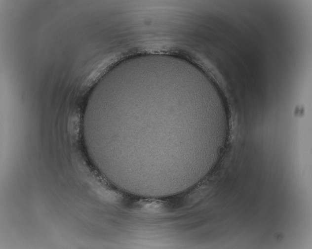 X0000114620113200911101223