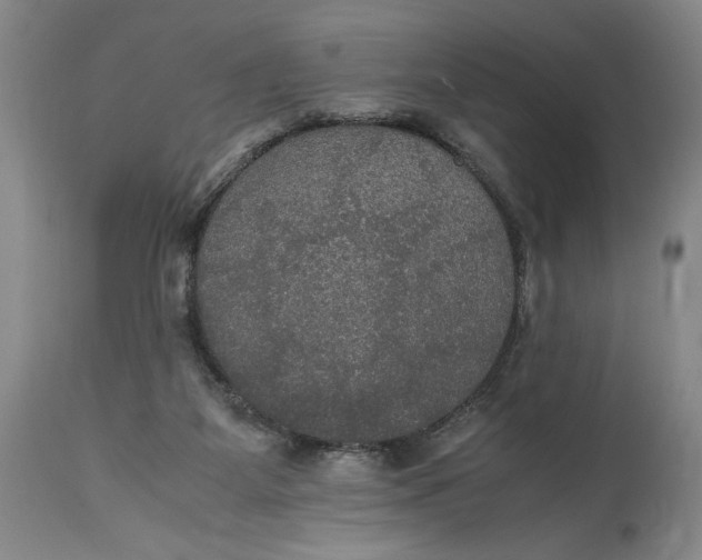 X0000114620115200911101223