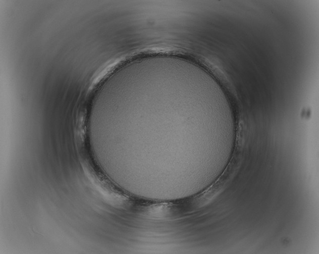 X0000114620116200911101223