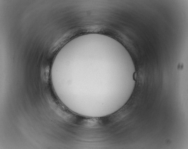 X0000114620118200911101223