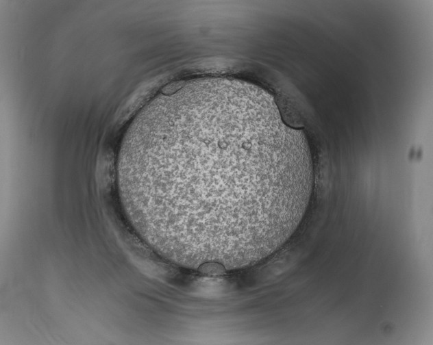 X0000114620119200911101223