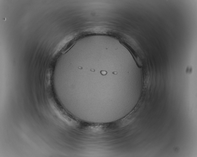 X0000114620120200911101223