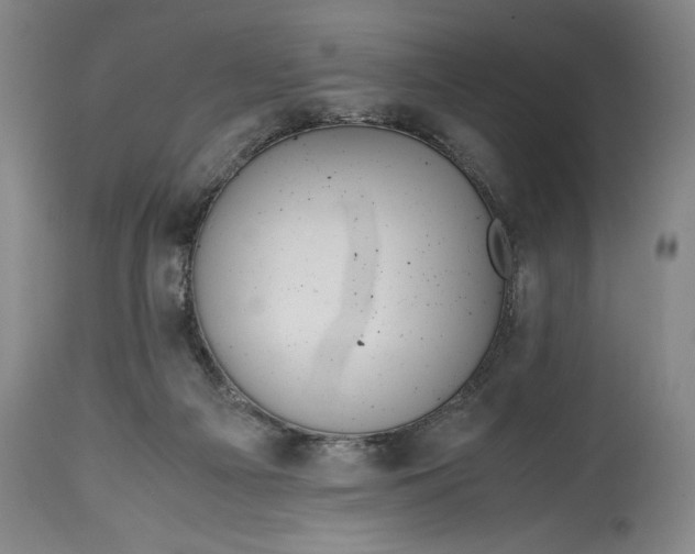 X0000114620121200911101223