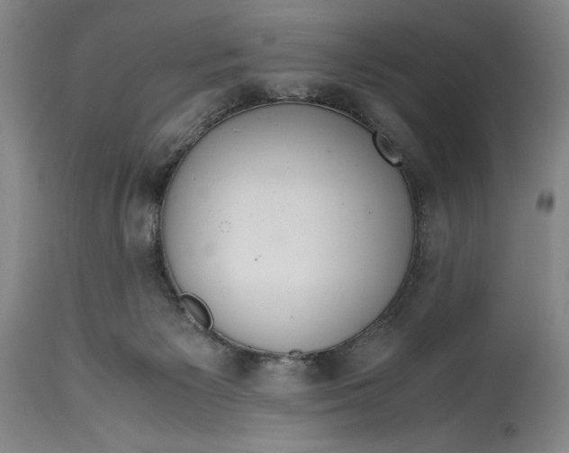 X0000114620125200911101222