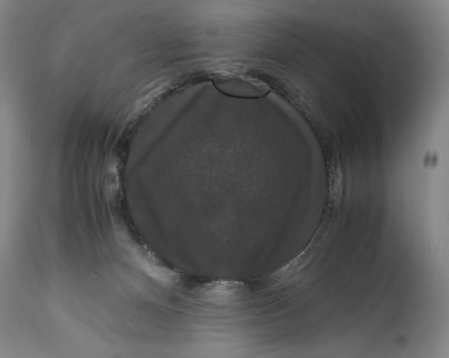 X0000114620128200911101222