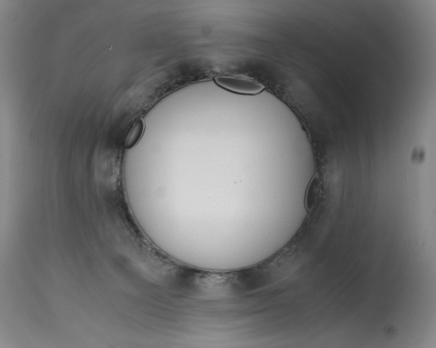 X0000114620129200911101222