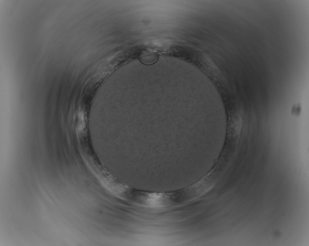 X0000114620130200911101222