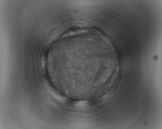 X0000114620132200911101222