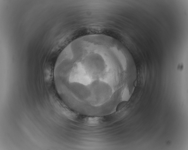 X0000114620134200911101222