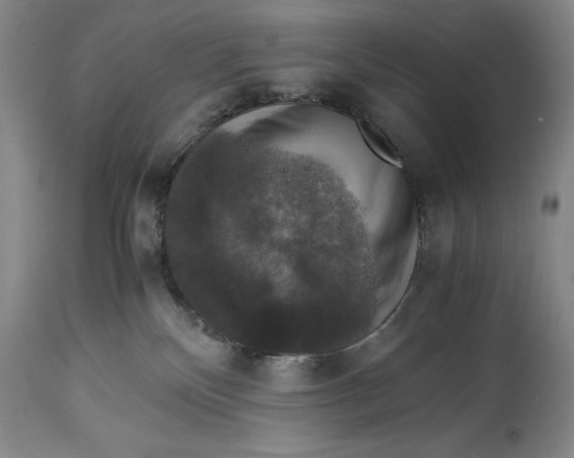 X0000114620136200911101222