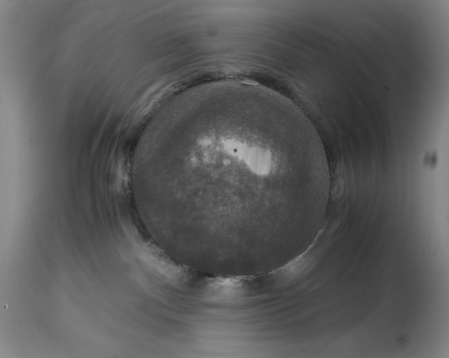 X0000114620140200911101222