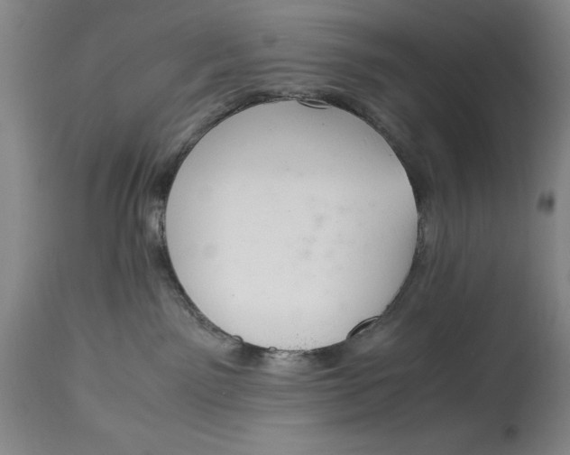 X0000114620141200911101222