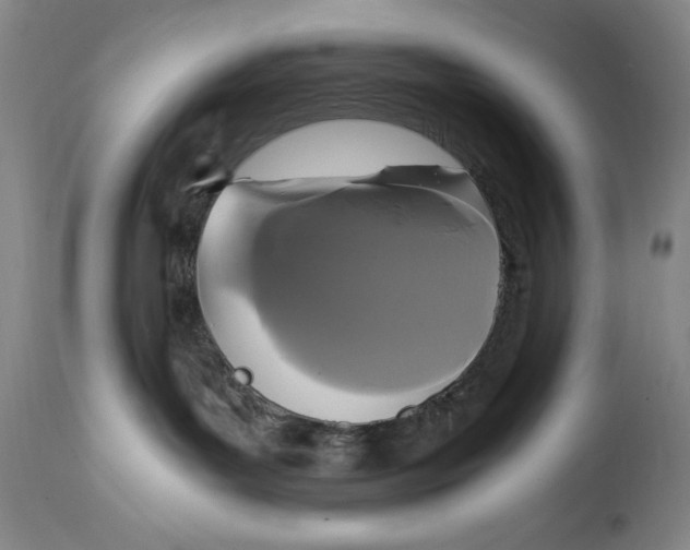 X0000114620143200911101222