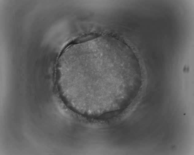 X0000114620144200911101222
