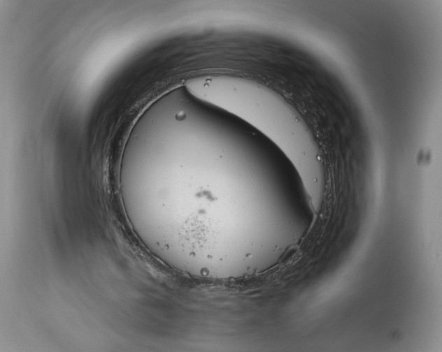 X0000114620146200911101222