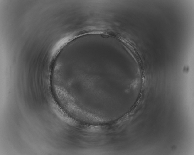 X0000114620149200911101222