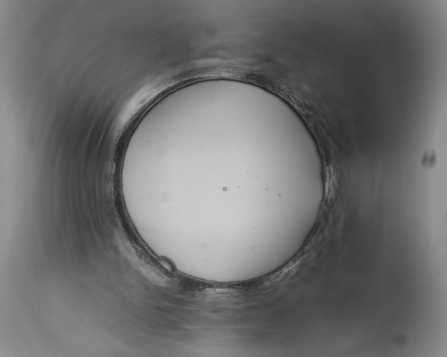 X0000114620150200911101222
