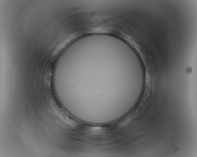 X0000114620153200911101222