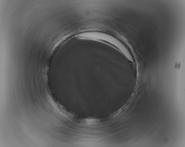 X0000114620154200911101222