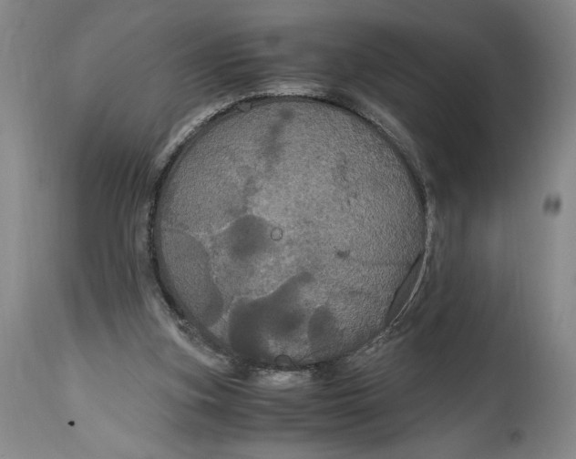 X0000114620155200911101222