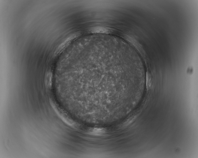 X0000114620157200911101222