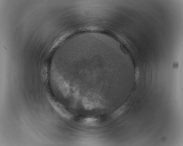 X0000114620158200911101222