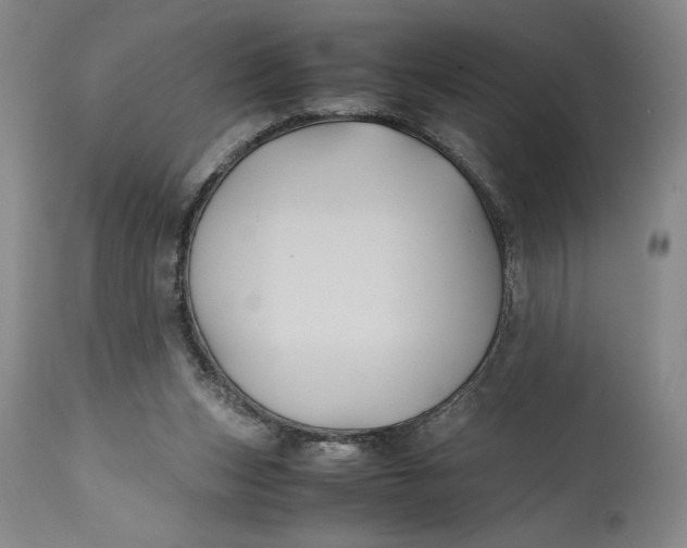 X0000114620159200911101222