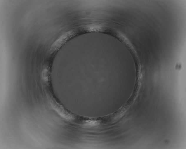 X0000114620161200911101222