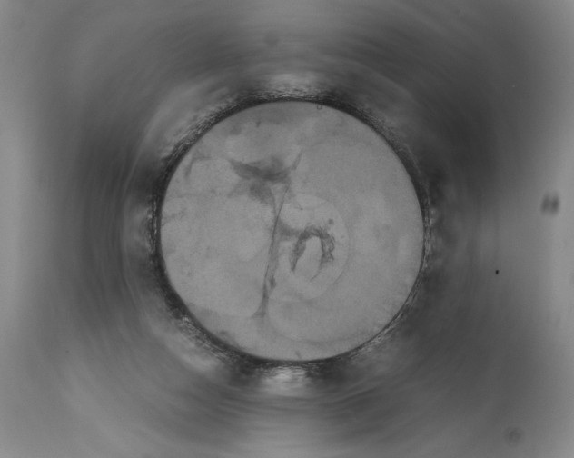 X0000114620162200911101222